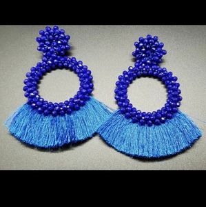 Blue fringe beaded earrings